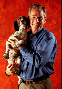 Bush with Spot